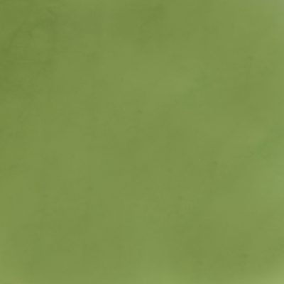 Pistachio